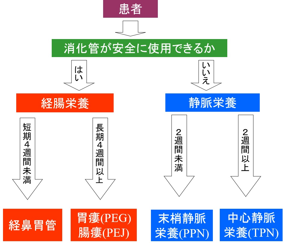 図１　栄養管理のルートの選択