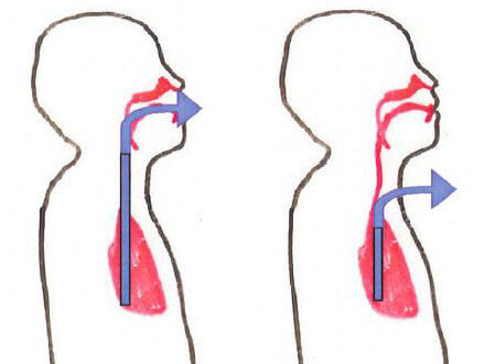 図3呼吸の流れ