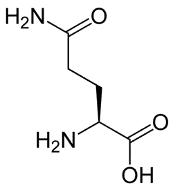 図１　L-グルタミンの構造