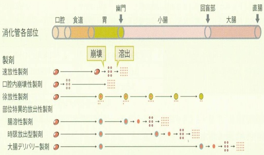 図2　各種経口投与製剤の消化管内における製剤崩壊・薬物放出（溶出）部位