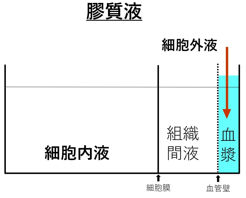 図5．膠質液の投与ターゲットとなる体液分画