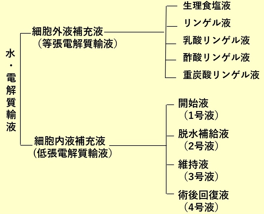 図１　自由水（水）、電解質、膠質の移動